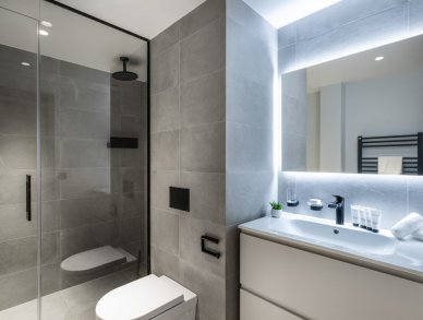 Apartment Falcon Lodge H11 Meribel