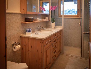 Appartement Adona Loft Zermatt