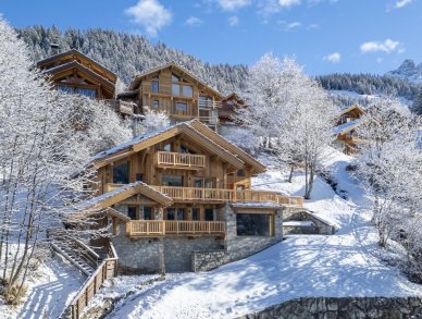 Chalet Alpine Roc Méribel