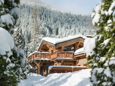 Шале Le Hameau des Rives Шамони Аржантьер