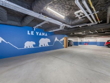 Апартаменты Yana 203 Мерибель