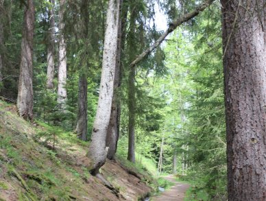 Шале La Tzoumaz Lodge Вербье Ля Тзума