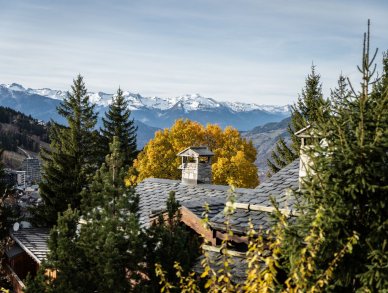 Chalet Les Clarines d'Or Courchevel 1650