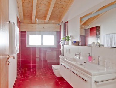 Appartement Powder Snow Zermatt