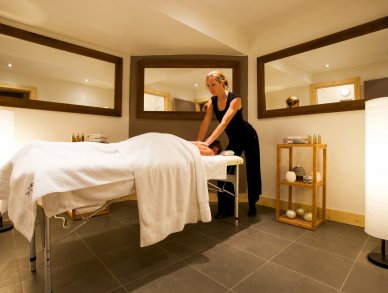 Chalet Terre Chamonix Argentiere