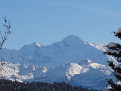 Chalet 345 Les Gets