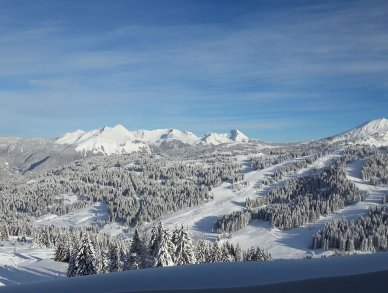 Chalet 345 Les Gets