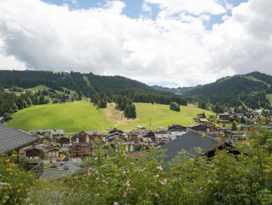 Chalet 345 Les Gets