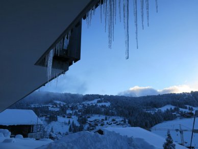 Chalet 345 Les Gets
