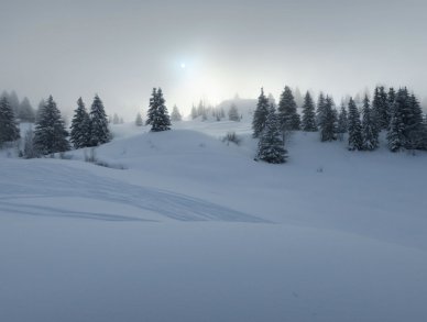 Chalet 345 Les Gets