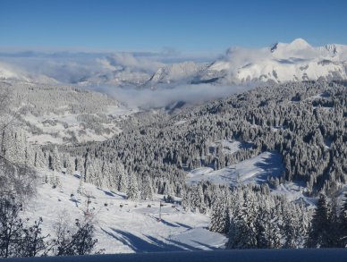Chalet 345 Les Gets