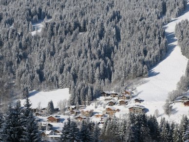 Chalet 345 Les Gets