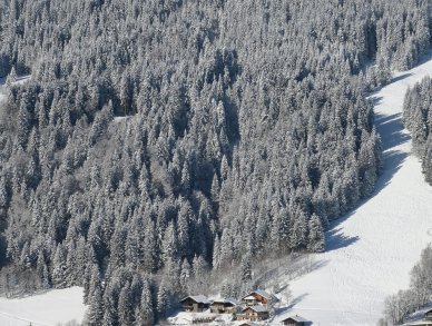 Chalet 345 Les Gets
