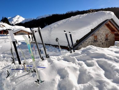 Chalet 345 Les Gets
