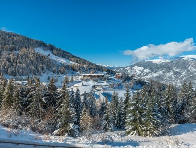 Chalet Cortina Courchevel 1650