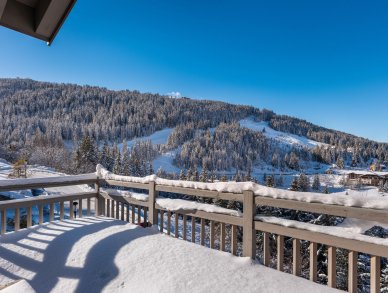 Chalet Cortina Courchevel 1650