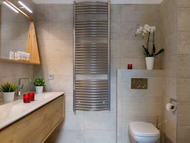 Penthouse Annapurna B304 Les Gets