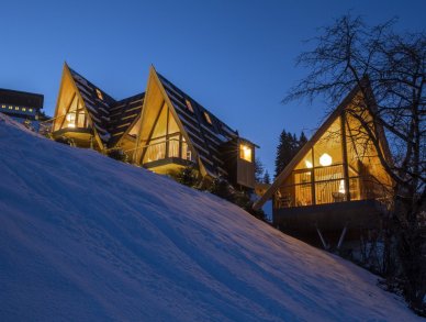 Chalet TreeLoft PapagenA Zillertal