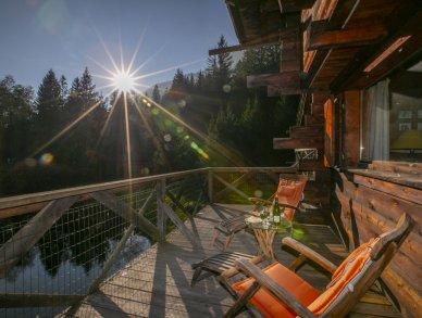 Chalet Tré la Vieux Chamonix