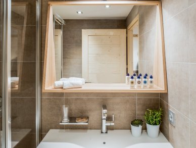 Apartment Mammoth Lodge D03 Courchevel 1650