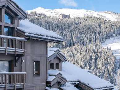 Апартаменты Mammoth Lodge D04 Куршевель 1650