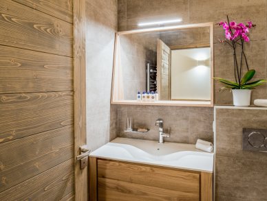 Apartment Mammoth Lodge D10 Courchevel 1650
