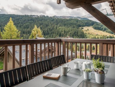 Appartement Mammoth Lodge D11 Courchevel 1650