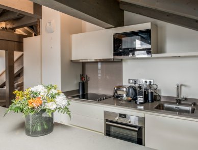 Пентхаус Mammoth Lodge D13 Куршевель 1650