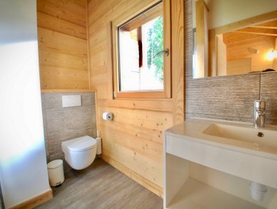 Chalet Forest Lodge Morzine Montriond