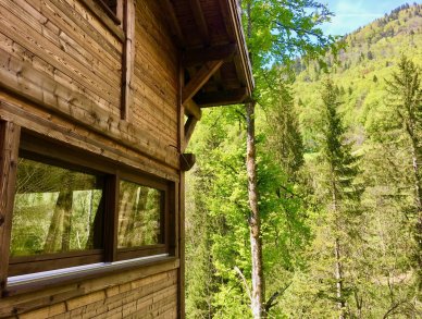 Chalet Forest Lodge Morzine Montriond