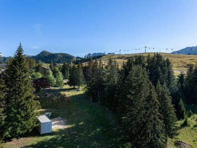 Appartement Roc Merlet 503 Courchevel 1650
