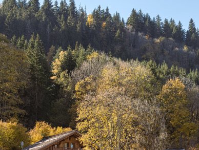 Chalet 4810 Saint-Gervais