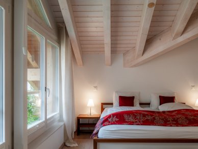 Penthouse Parrot Zermatt
