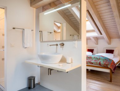 Penthouse Parrot Zermatt