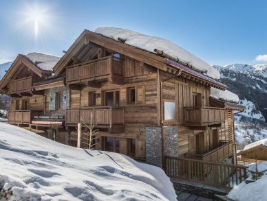 Appartement Les Belles Alpes 1 Méribel
