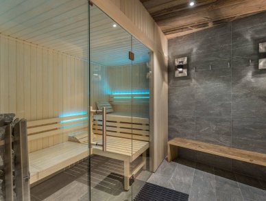 Appartement Les Belles Alpes 1 Méribel